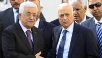 الرئيس الفلسطيني يبحث في القاهرة إعادة إحياء مفاوضات السلام